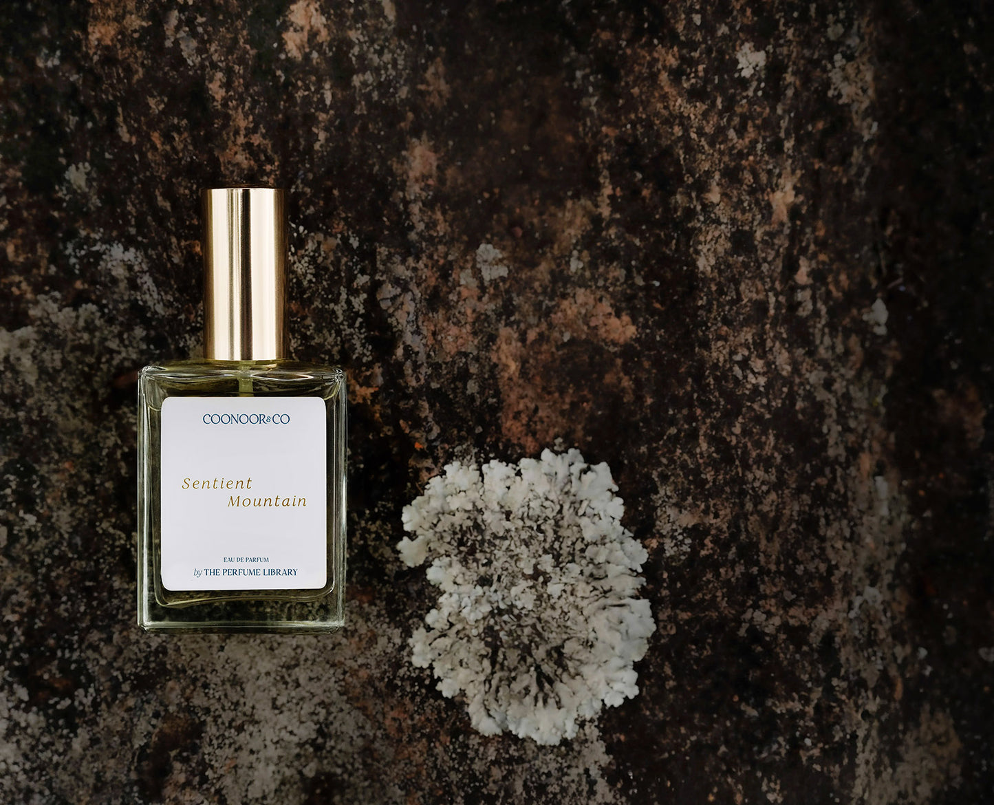 Sentient Mountain Eau de Parfum bottle, luxury artisan fragrance from the blue hills of the Nilgiris