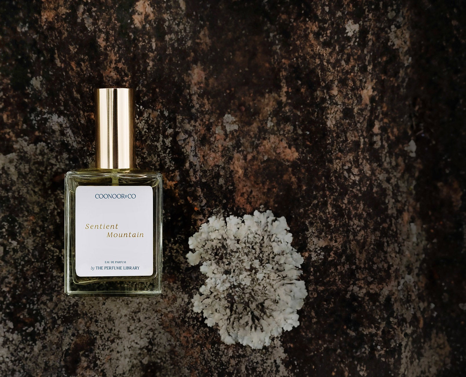 Sentient Mountain Eau de Parfum bottle, luxury artisan fragrance from the blue hills of the Nilgiris